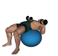 Dumbbell Press - Fitness Ball